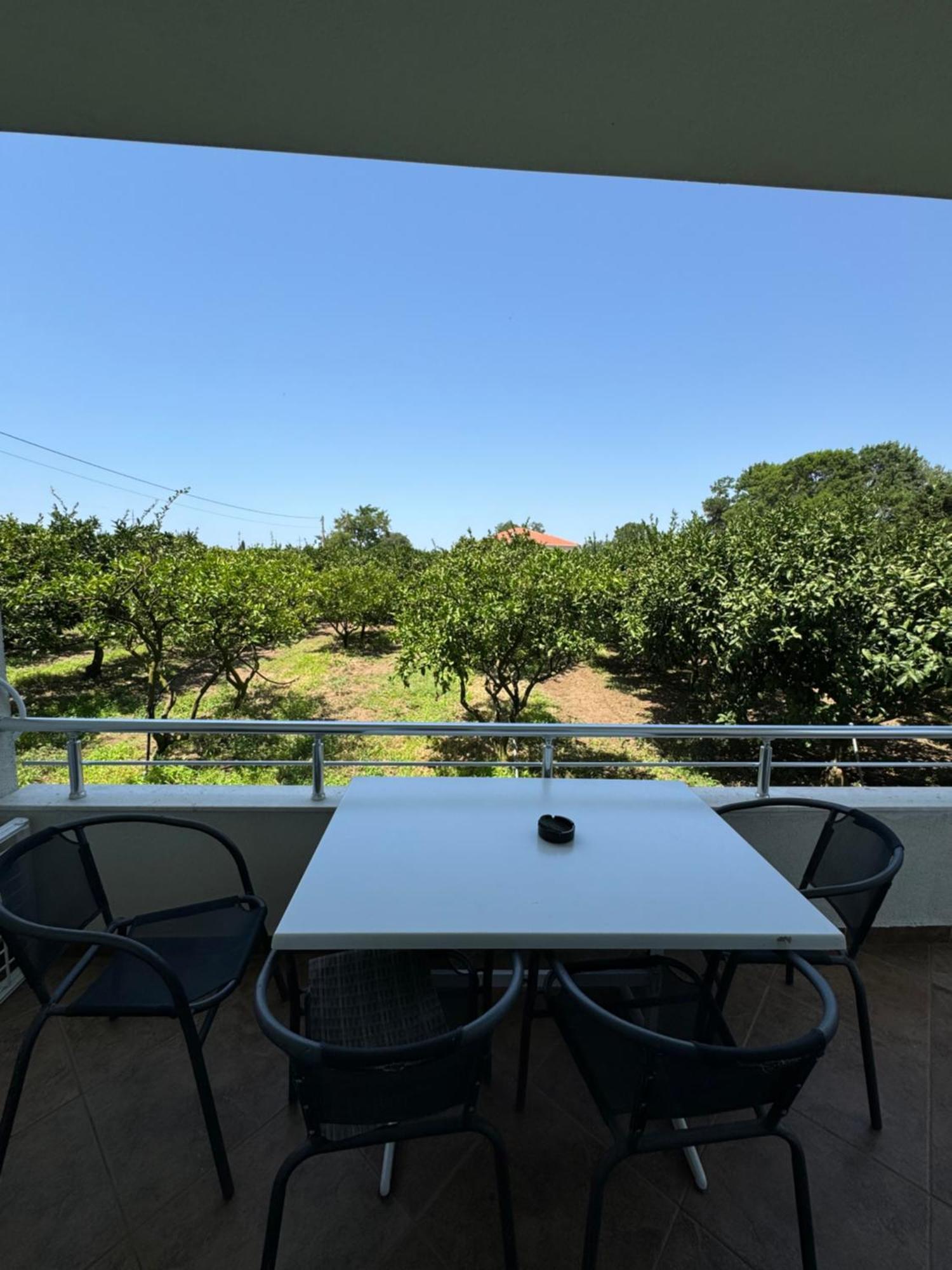 Sunrise House Apartments 乌尔齐尼 外观 照片